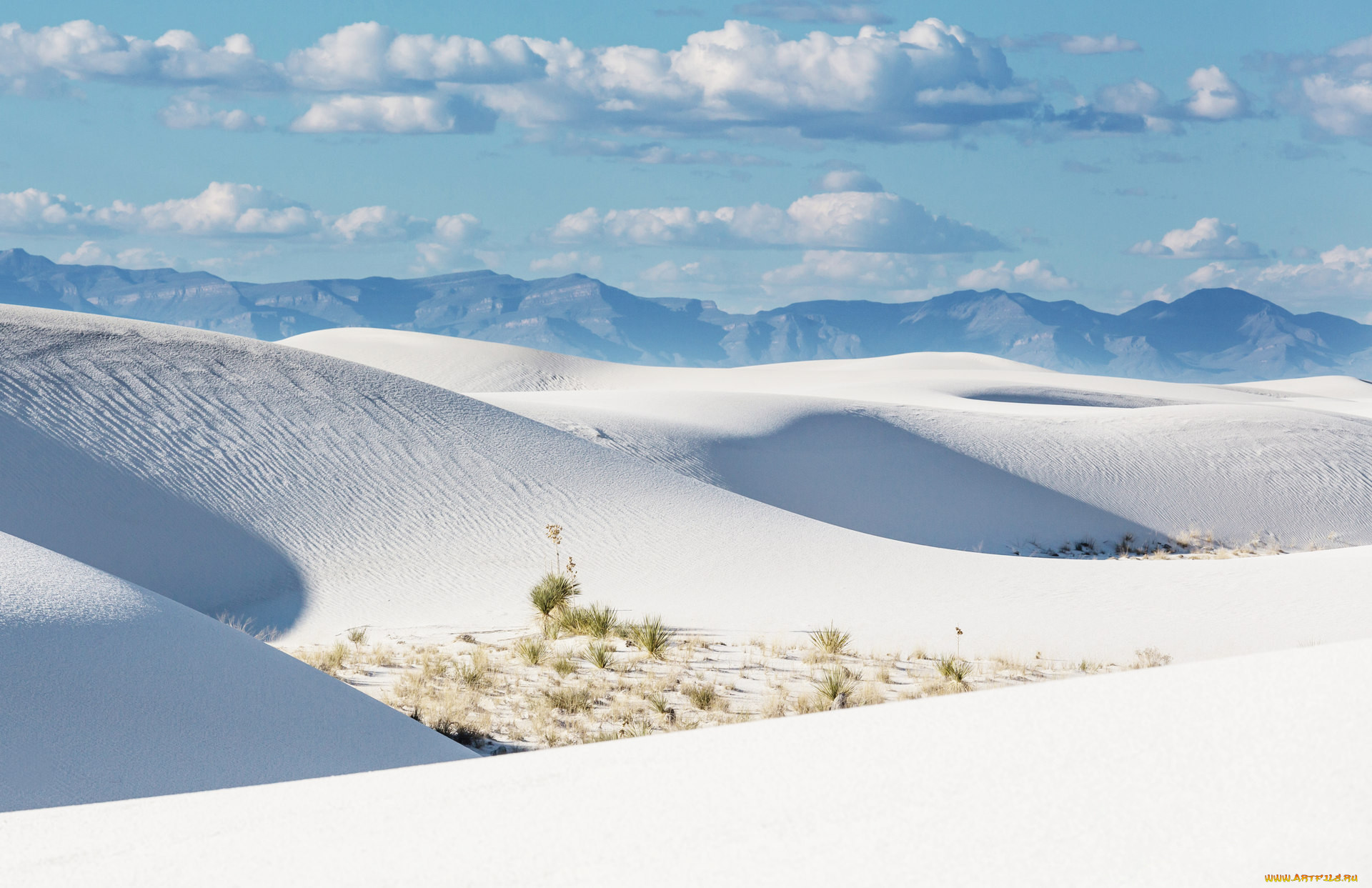 white sands new mexico, , , , , white, sands, new, mexico, 